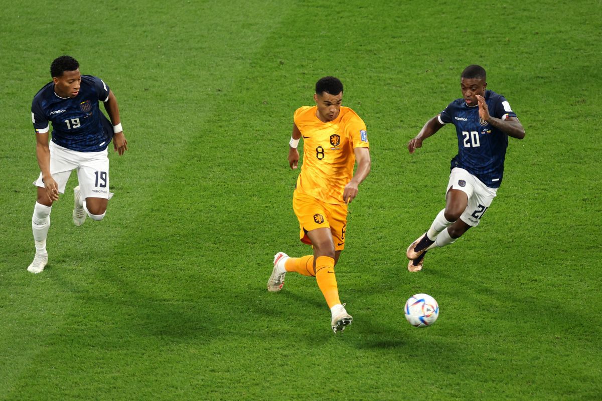 Țările de Jos - Ecuador, la Campionatul Mondial