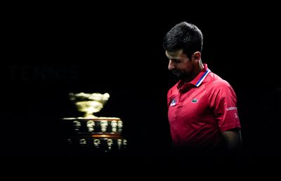 Novak Djokovic după dezastrul din Cupa Davis: „Îmi asum responsabilitatea”