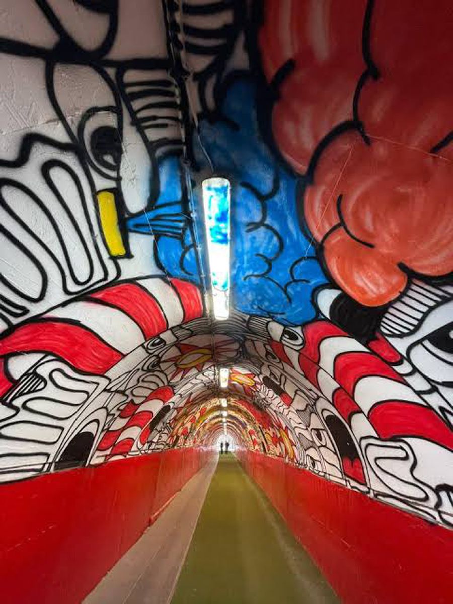 Faimosul tunel ce duce spre ieșirea în arenă pe „Marakana” belgrădeană Jurnalistul sârb Vladimir Filipovic a dezvăluit marea problemă a celor de la Steaua Roșie: „Acolo sunt slăbiciuni” » Românul în fața cui face o reverență