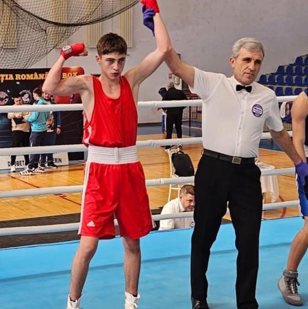 Șerban Stoica box - Pasiune Pură