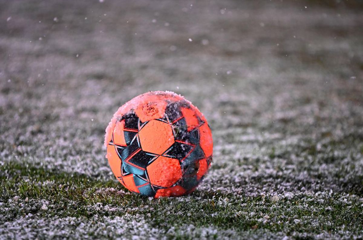 Fanii Craiovei se revoltă! Atac la Rotaru și Papură: „Să înceteze să se joace de-a Gigi Becali! Merităm un antrenor, nu un breloc și o marionetă”