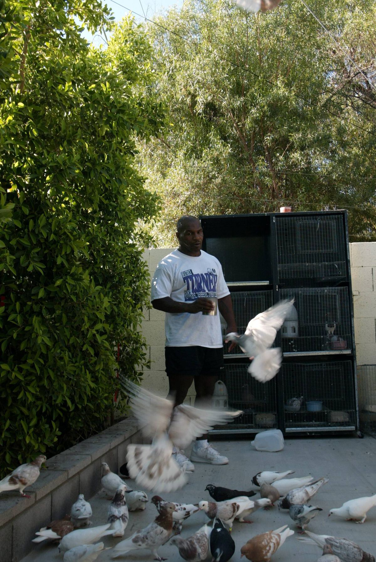 Mike Tyson, editorial răvășitor: de ce e pasionat de porumbei și momentul care l-a motivat să devină pugilist profesionist