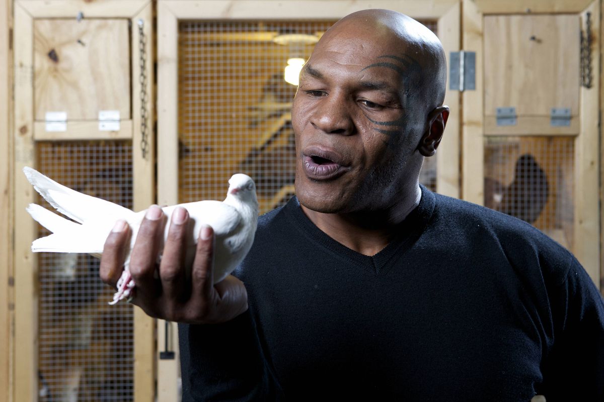 FOTO Mike Tyson, editorial răvășitor: de unde a căpătat pasiunea pentru porumbei și momentul care l-a motivat să devină pugilist profesionist