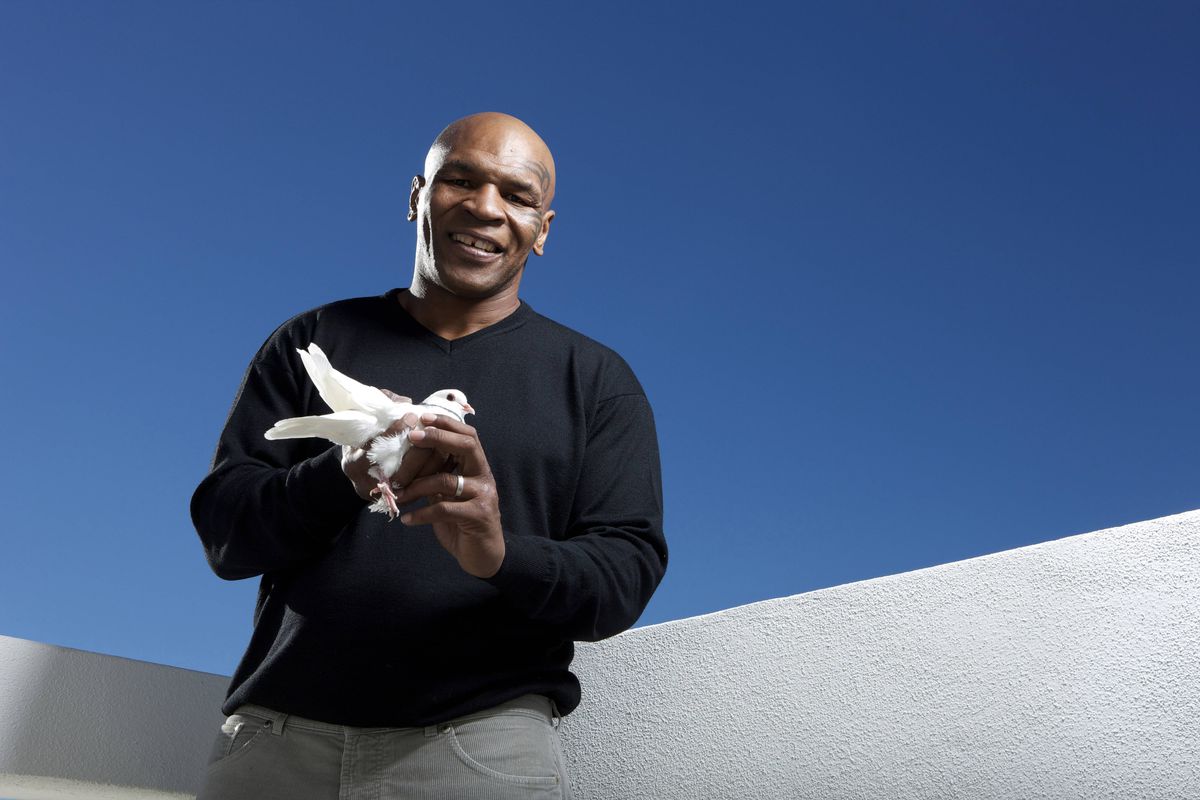 FOTO Mike Tyson, editorial răvășitor: de unde a căpătat pasiunea pentru porumbei și momentul care l-a motivat să devină pugilist profesionist