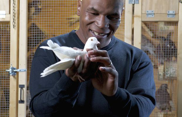 FOTO Mike Tyson, editorial răvășitor: de unde a căpătat pasiunea pentru porumbei și momentul care l-a motivat să devină pugilist profesionist