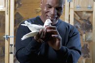 FOTO Mike Tyson, editorial răvășitor: de unde a căpătat pasiunea pentru porumbei și momentul care l-a motivat să devină pugilist profesionist