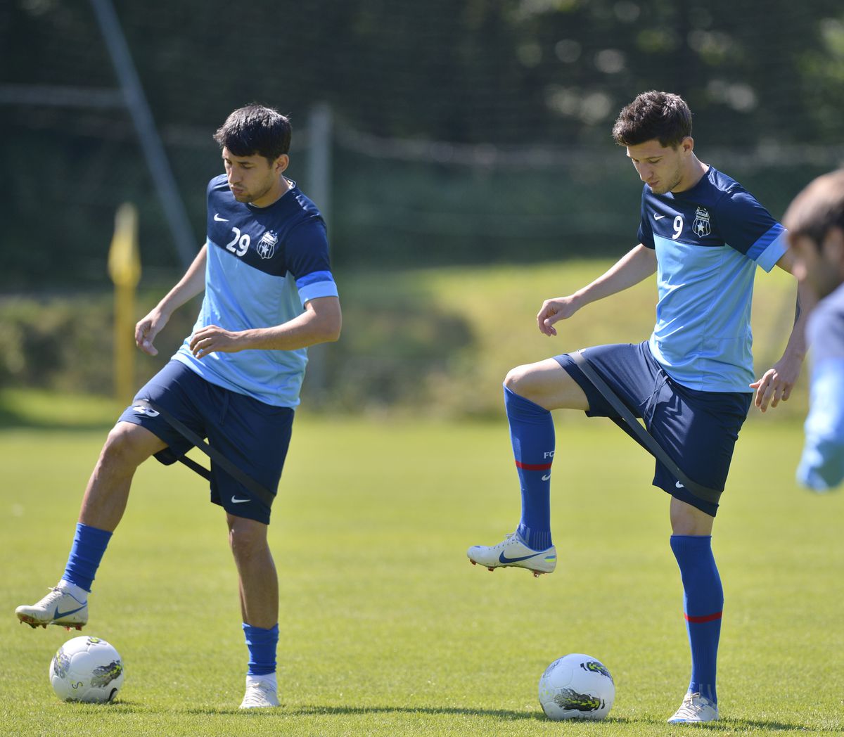 Frații Costea vor juca din nou împreună