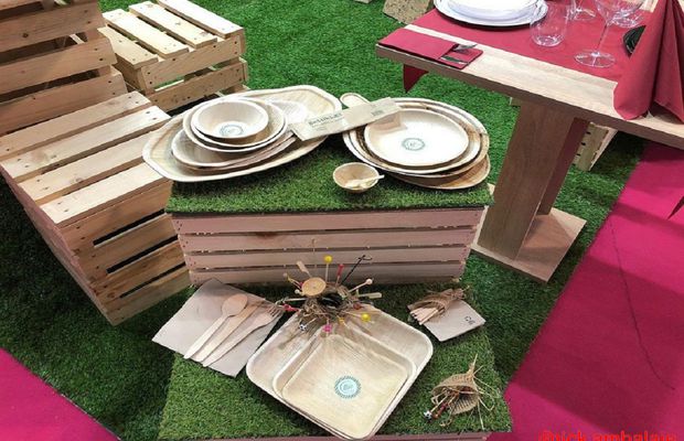 Tăvi biodegradabile și ambalaje sustenabile disponibile pe Snick-Ambalaje.com