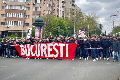 Peluza Sud Dinamo, sursa: facebook FCD SUD