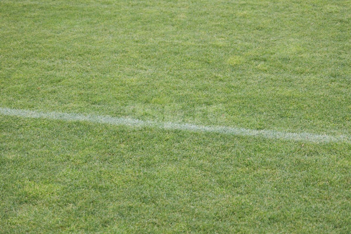 Probleme pentru „câini”? » Cum se prezintă gazonul de pe „Arcul de Triumf”, cu 4 zile înainte de Dinamo - Petrolul