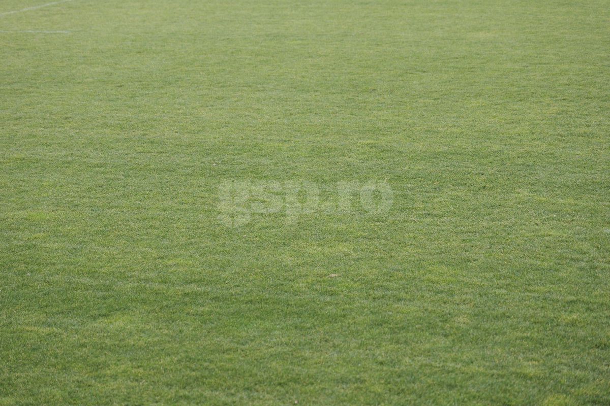 Probleme pentru „câini”? » Cum se prezintă gazonul de pe „Arcul de Triumf”, cu 4 zile înainte de Dinamo - Petrolul