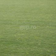 Cum arată „Arcul de Triumf”, înainte de Dinamo - Petrolul // foto: Andrei Furnigă (GSP)