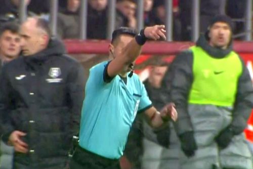 Colțescu a dictat penalty pentru Rapid
