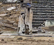 A început demolarea stadionului „Dan Păltinișanu”