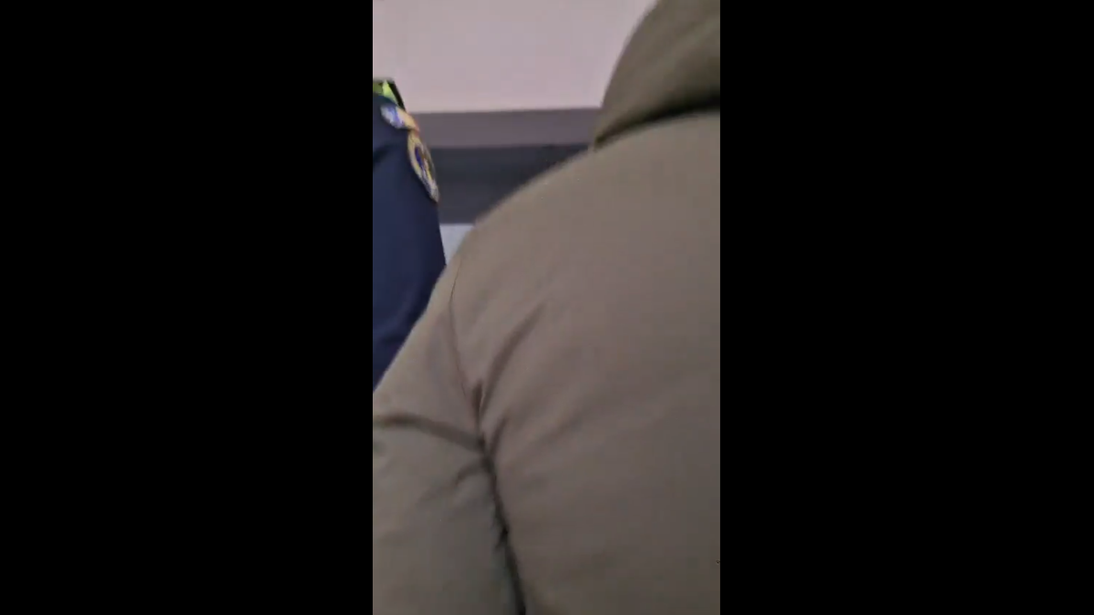 Jandarmeria neagă implicarea galeriilor de fotbal în protestele pro-Călin Georgescu