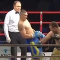 Secvență din timpul meciului dintre Nistor și Usyk.