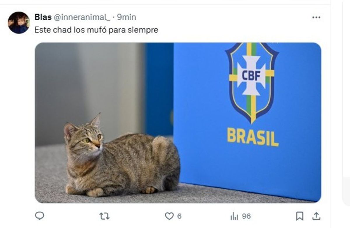 Cele mai tari meme-uri după scorul-fluviu din Argentina - Brazilia: fanii din San Marino au râs și ei de brazilieni