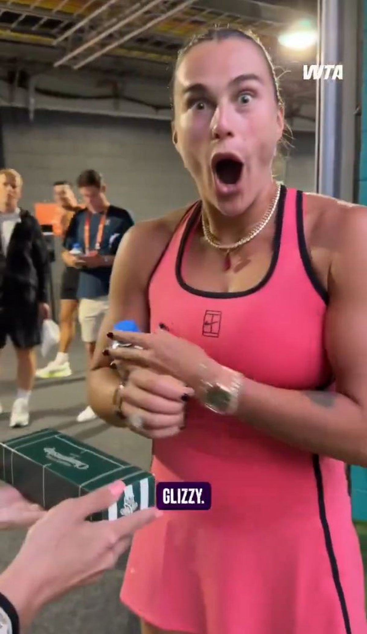 Reacția Arynei Sabalenka când a gustat cel mai scump hot-dog din lume: „Oh, Doamne...” » Cât costă și ce conține