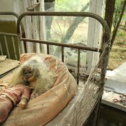 Ce a rămas în urma catastrofei nucleare de la Cernobîl