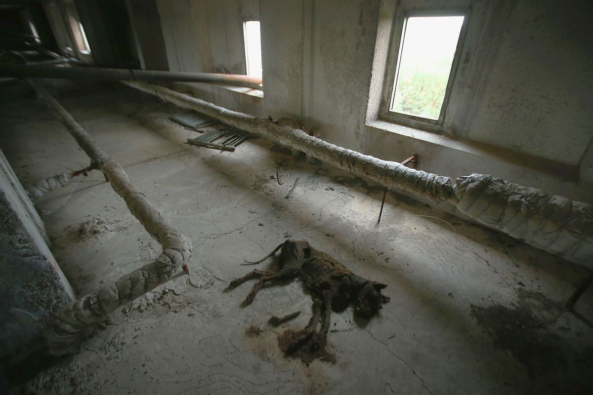 „Am adus o bucată din Cernobîl în casa familiei” » Marele Andriy Shevchenko, tulburător despre accidentul nuclear care a schimbat lumea: „O mică bombă atomică ascunsă într-o minge”