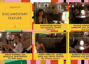 Gala Premiilor Oscar 2021: Colectiv rămâne cu cele două nominalizări » „Another Round„ și „My Octopus Teacher” s-au impus în cele două categorii