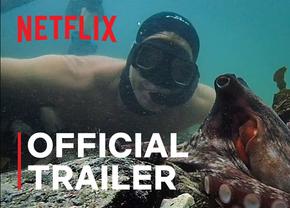 Cum a câștigat „My Octopus Teacher” premiul Oscar, în fața „Colectiv” sau „Time”: „Favoritul fanilor de pe Netflix”