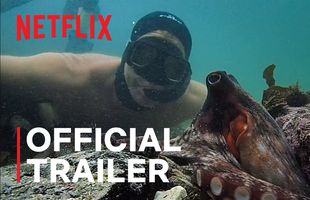 Cum a câștigat „My Octopus Teacher” premiul Oscar, în fața „Colectiv” sau „Time”: „Favoritul fanilor de pe Netflix”