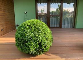 Deck pentru terase din WPC