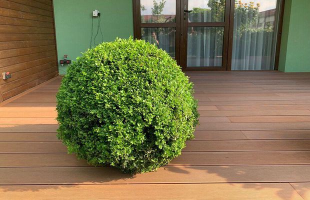 Deck pentru terase din WPC