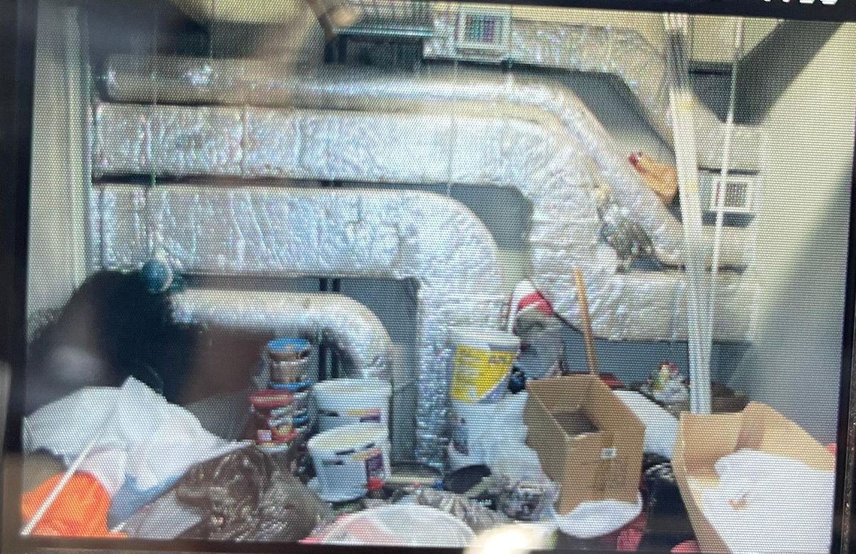 Dan Șucu ia în calcul o variantă radicală, după problemele cu legea din cazul lui Daniel Niculae: „Cei din club sunt mulțumiți cum merg lucrurile, eu nu sunt!”