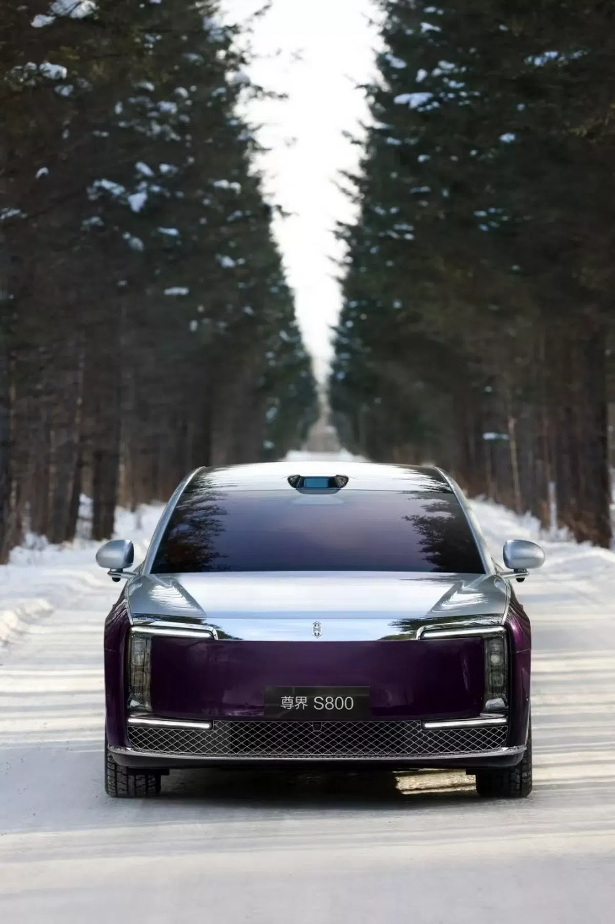 Mașina care seamănă izbitor cu Rolls-Royce și Mercedes » E mult mai ieftină decât cei doi giganți auto