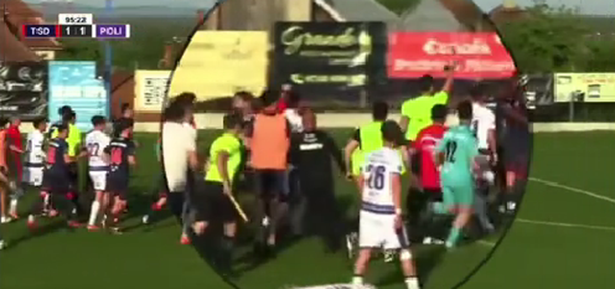 Imagini incredibile: Dan Alexa, repriză de box pe gazon!