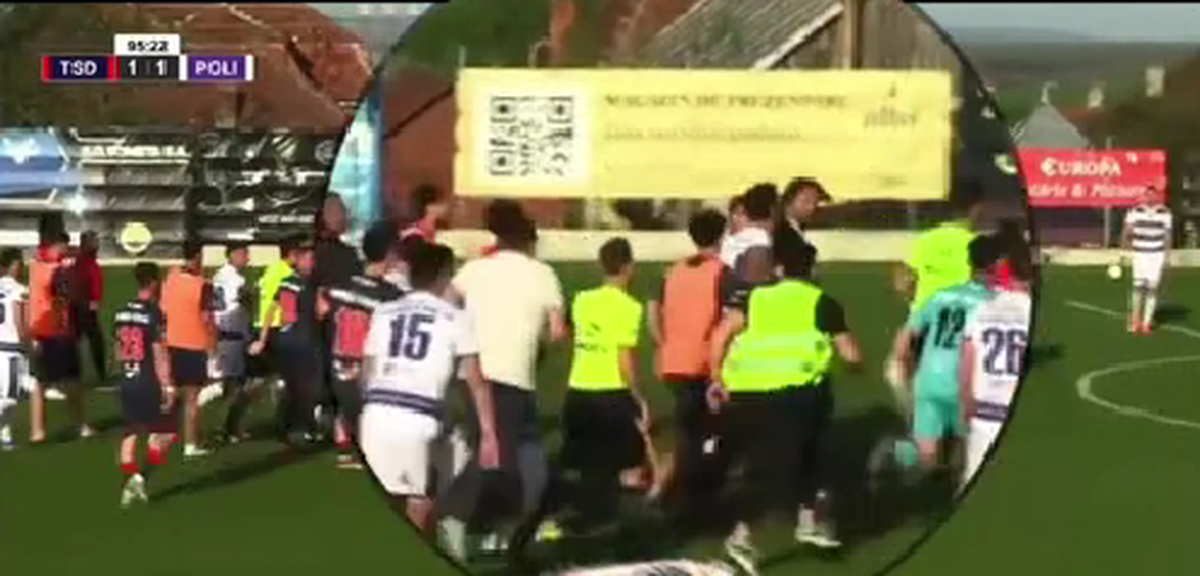 Imagini incredibile: Dan Alexa, repriză de box pe gazon!