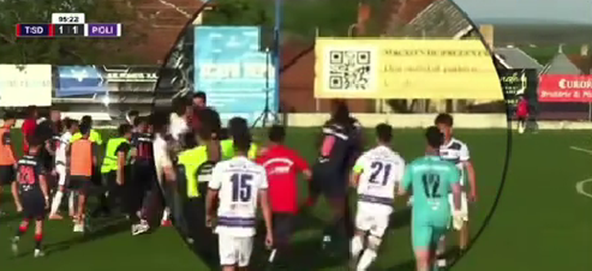 Imagini incredibile: Dan Alexa, repriză de box pe gazon!