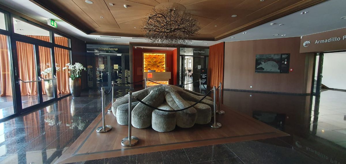 3 detalii din cantonamentul Rapidului » „Atu-ul” lui Cîrjan și mesajul lui Braun: „L-am salvat pe Florinel Coman”