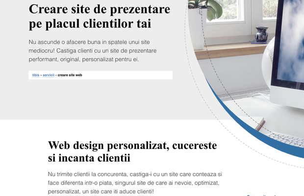 De ce doar un site profesional iti dezvolta afacerea?