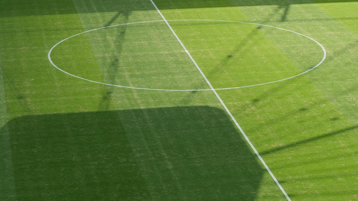 Gazonul de pe Deutsche Bank Park înainte de România - Slovacia