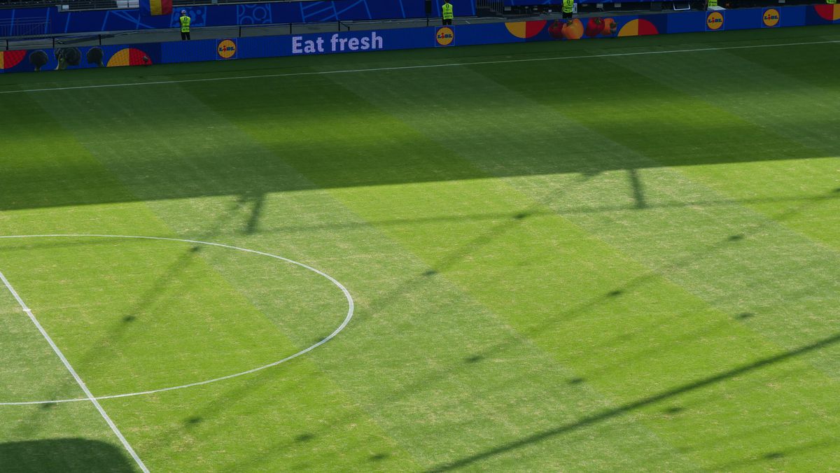 Gazon oribil la Frankfurt, în meciul României cu Slovacia » Amintește de un alt meci de poveste al „tricolorilor”