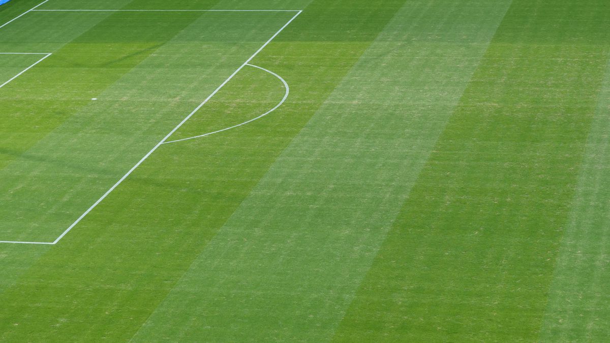 Gazonul de pe Deutsche Bank Park înainte de România - Slovacia