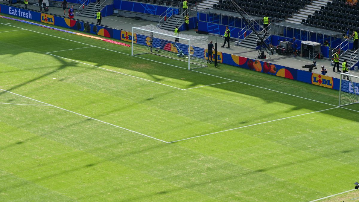 Gazonul de pe Deutsche Bank Park înainte de România - Slovacia