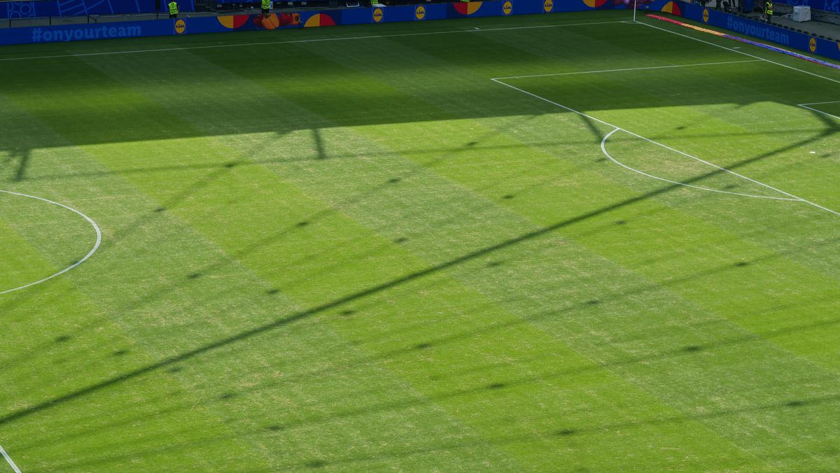 Gazonul de pe Deutsche Bank Park înainte de România - Slovacia