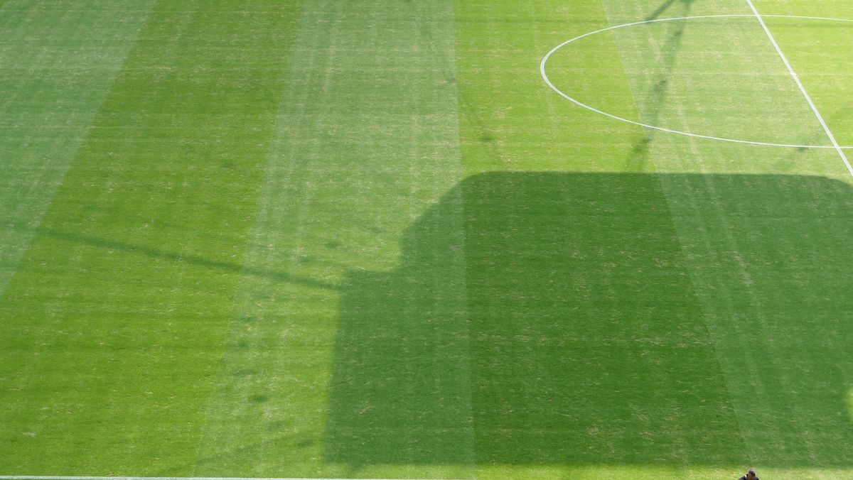 Gazonul de pe Deutsche Bank Park înainte de România - Slovacia