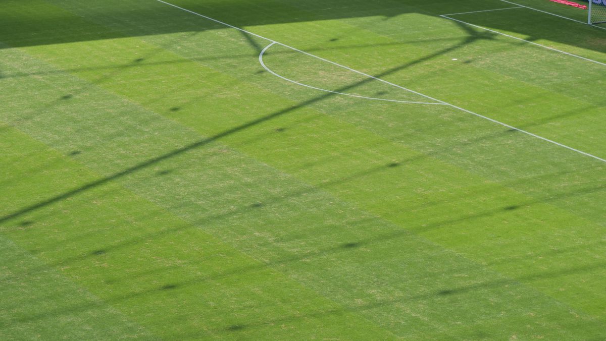 Gazon oribil la Frankfurt, în meciul României cu Slovacia » Amintește de un alt meci de poveste al „tricolorilor”