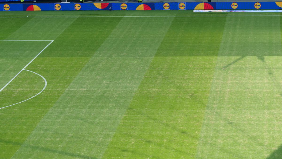 Gazonul de pe Deutsche Bank Park înainte de România - Slovacia