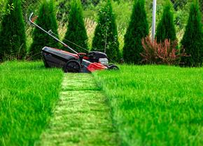 5 Greșeli de evitat în plantarea și îngrijirea gazonului
