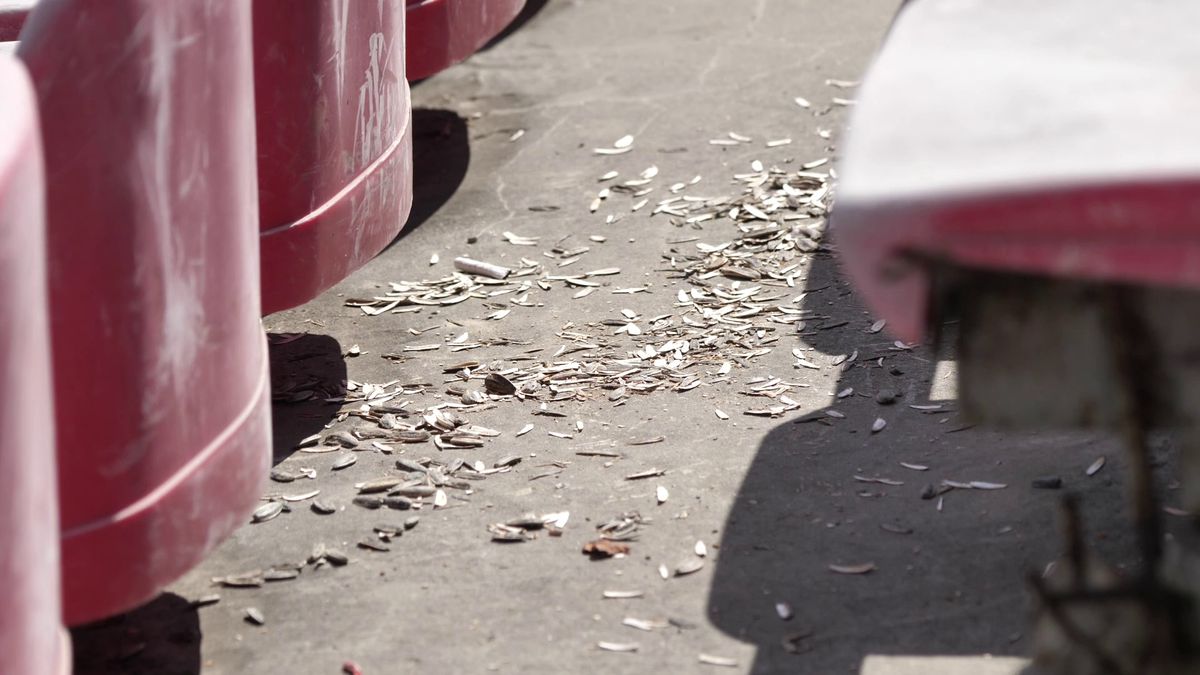 Au infirmeria plină, dar curg și ofertele pentru jucători » 10 informații înainte de CSKA - Sepsi, oferite de echipa GSP deplasată la Sofia