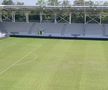 Gazonul de pe „Arcul de Triumf”, un DEZASTRU » Cum arată suprafața de joc înainte de duelul sold out Dinamo - Petrolul