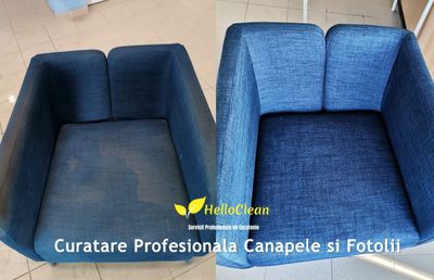 Descoperă cea mai eficientă și rapidă modalitate de a te bucura de un mediu sănătos și curat!