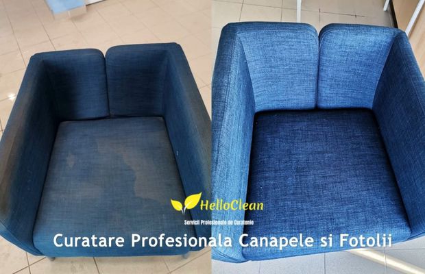 Descoperă cea mai eficientă și rapidă modalitate de a te bucura de un mediu sănătos și curat!