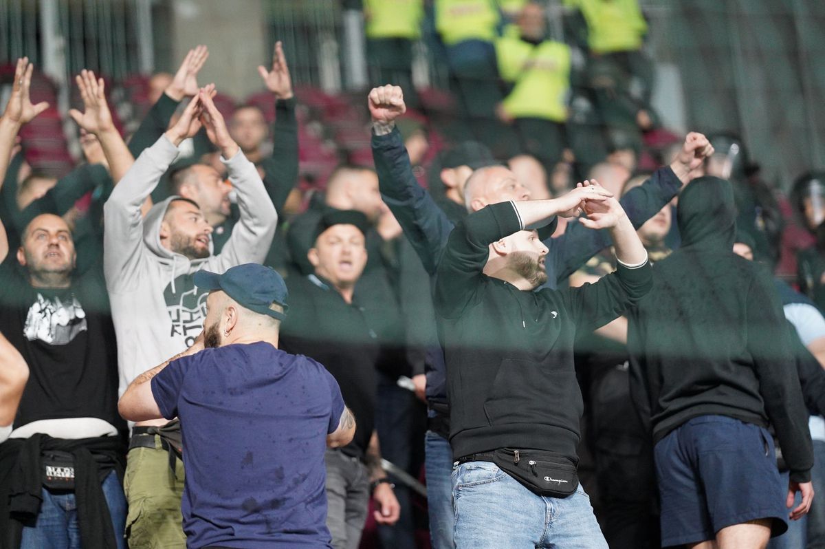 Bătaie pe arena din Giulești la meciul România - Bosnia